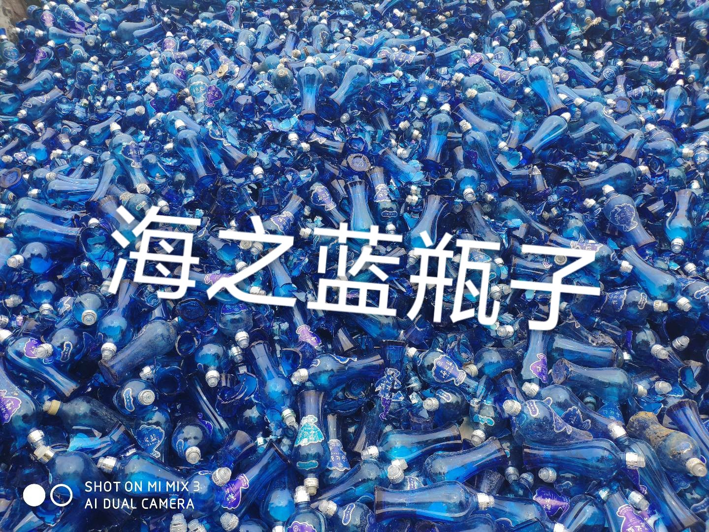 姑苏区海之蓝瓶回收